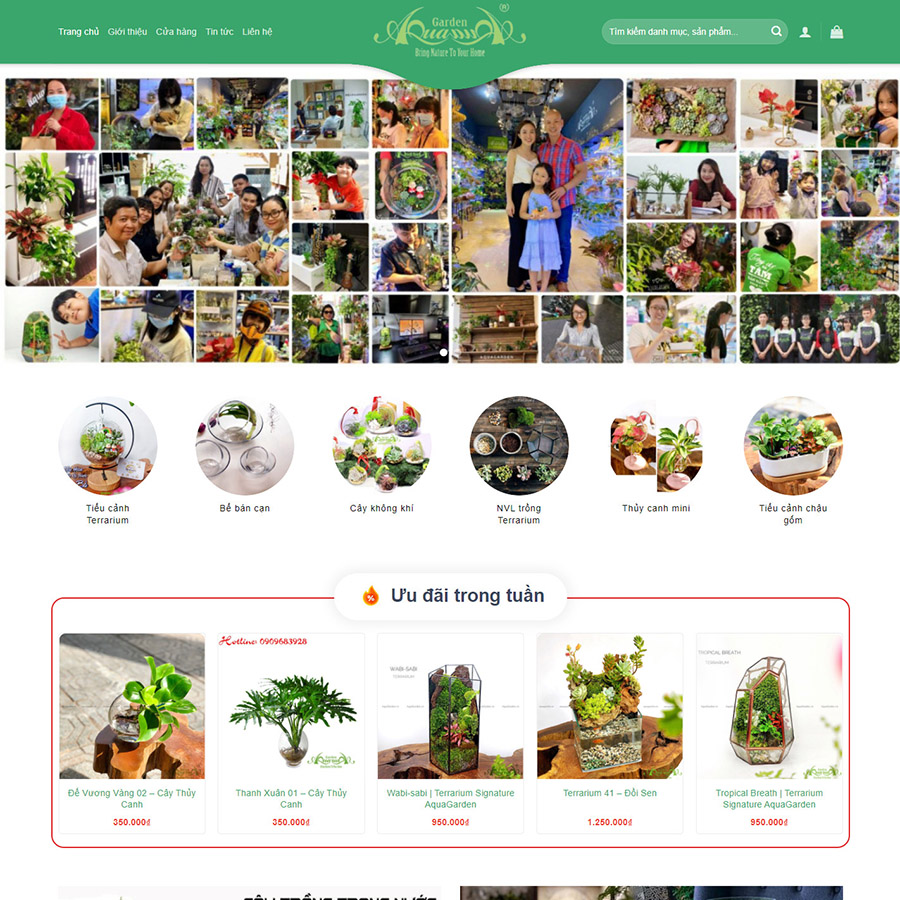Mẫu website bán cây xanh terrarium